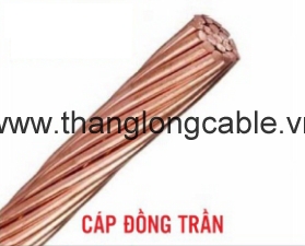 Cáp đồng trần xoắn C Thaloco