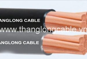 Cáp DUPLEX 2 lõi đồng Du TLC